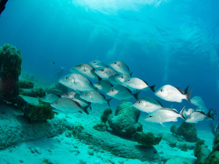 Islas de Mujeres