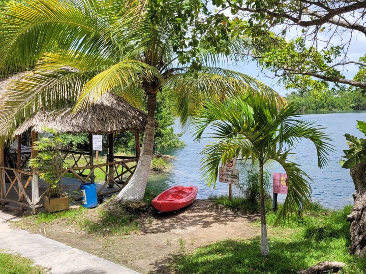 Bacalar
