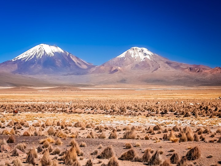 Sajama