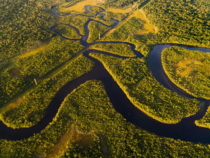 Amazonia