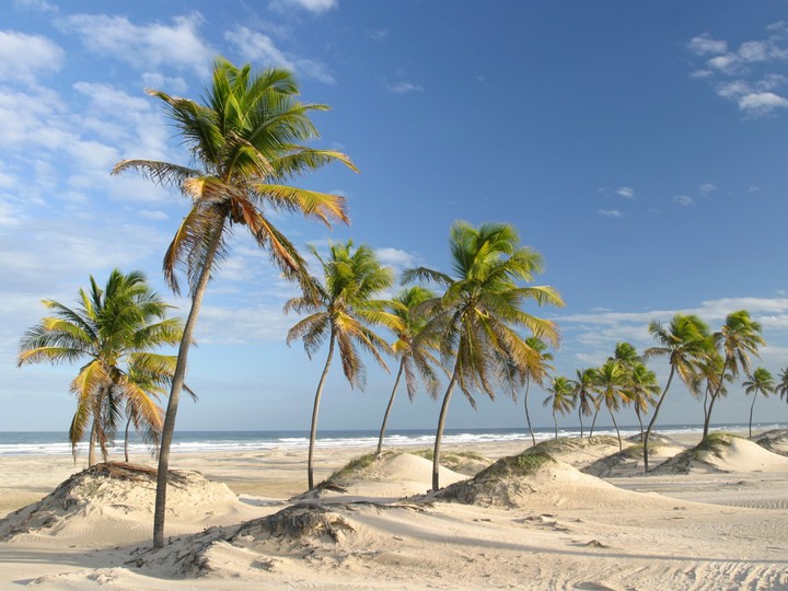 Mangue Seco