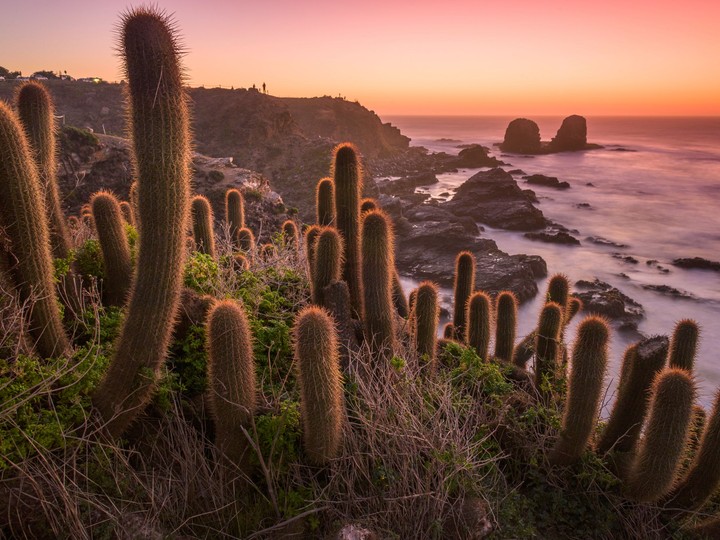 Pichilemu
