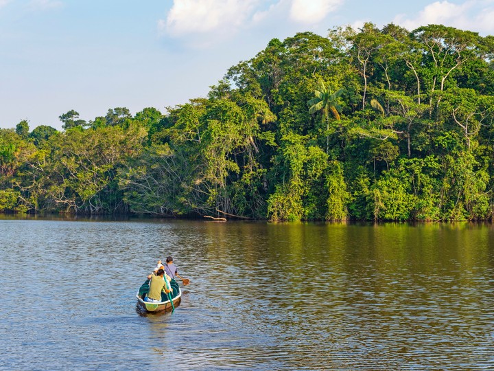 Yasuni