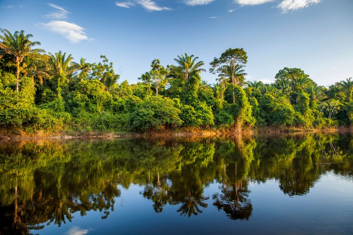 Surinam