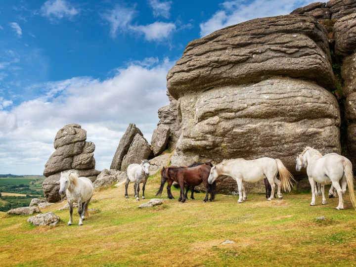 Dartmoor