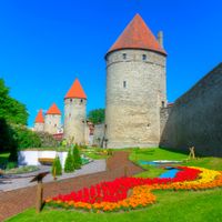 Mury miejskie Tallinn