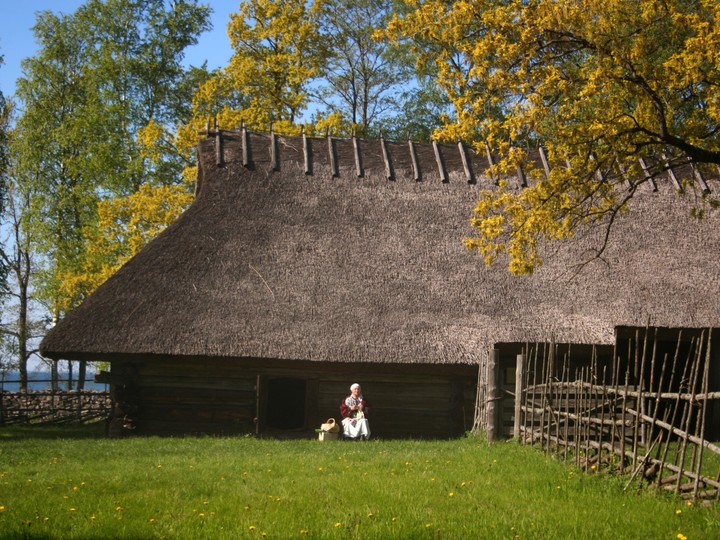 Skansen Tallinn