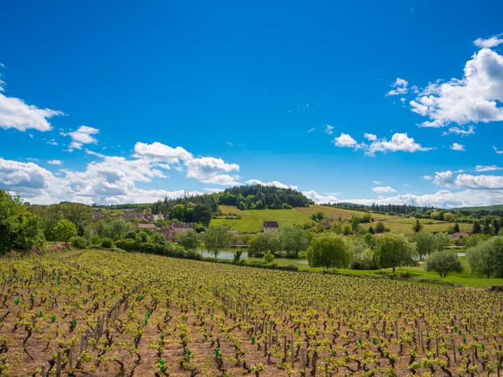 Montagne de Beaune