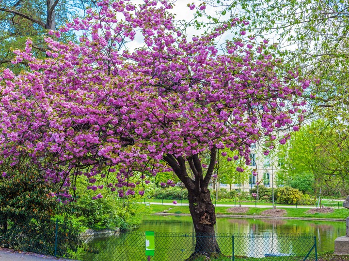 Jardin Botanique Bordeaux
