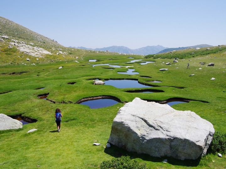 Korsyka
