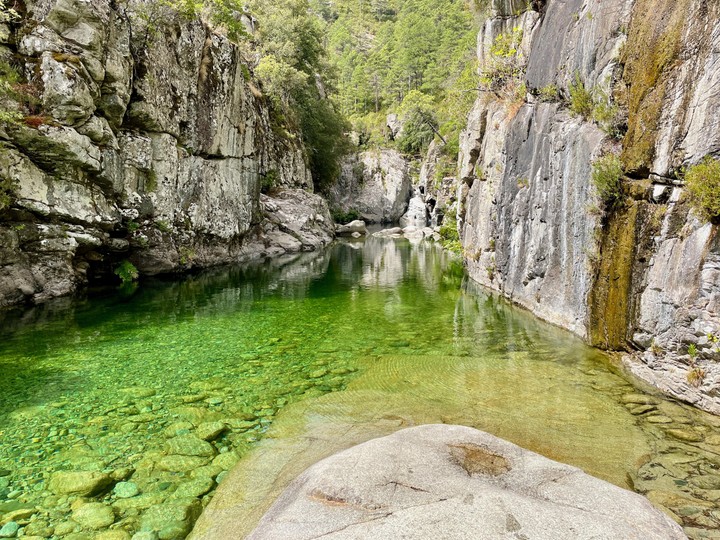 Korsyka
