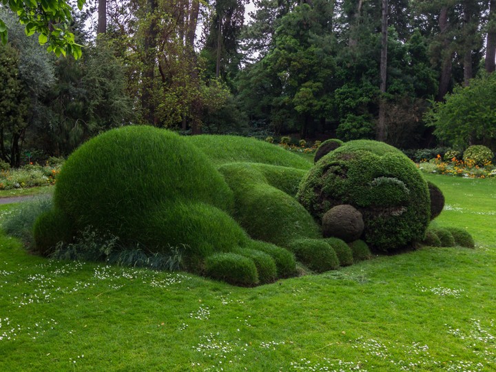Jardin des Plantes Nantes