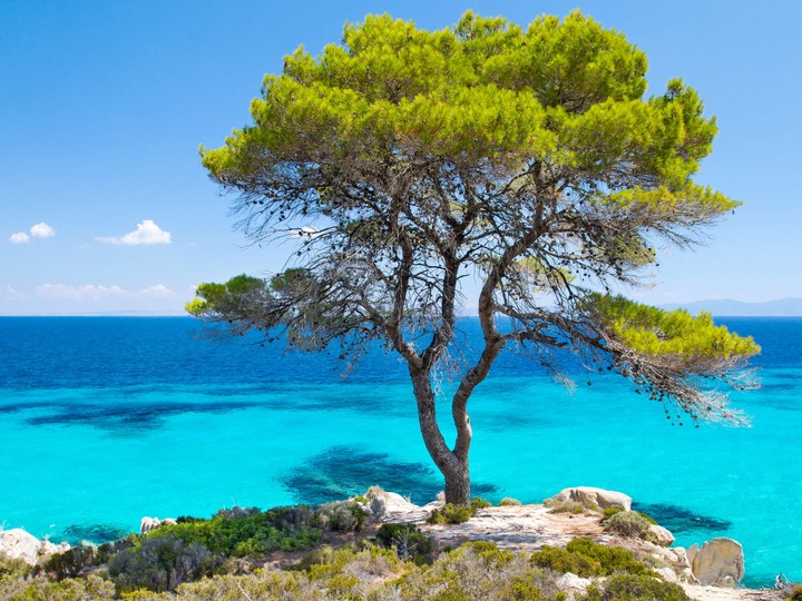 Chalkidiki