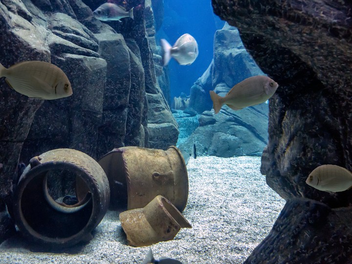 CretAquarium Heraklion