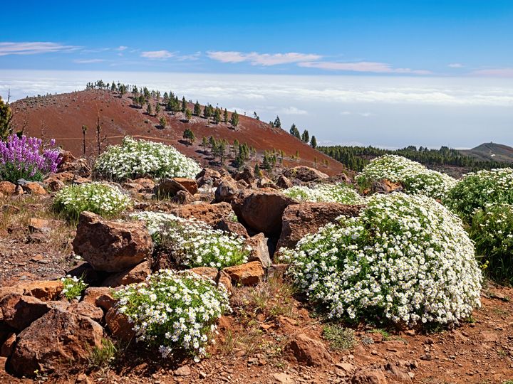 Gran Canaria Pico de las Nieves
