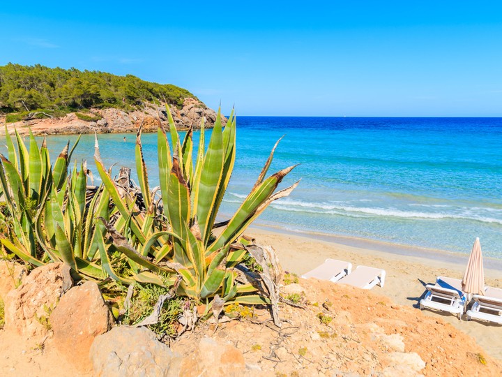 Cala Nova Beach, Ibiza