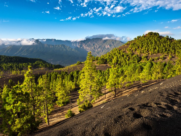 La Palma