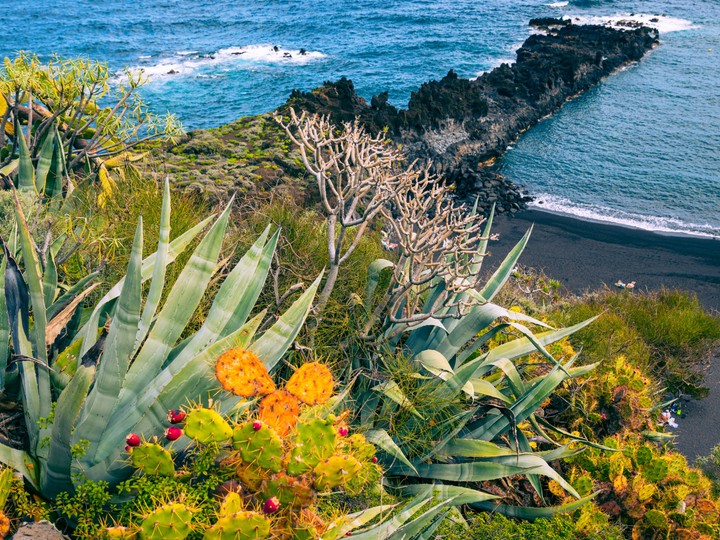 La Palma, Playa de los Cancajos