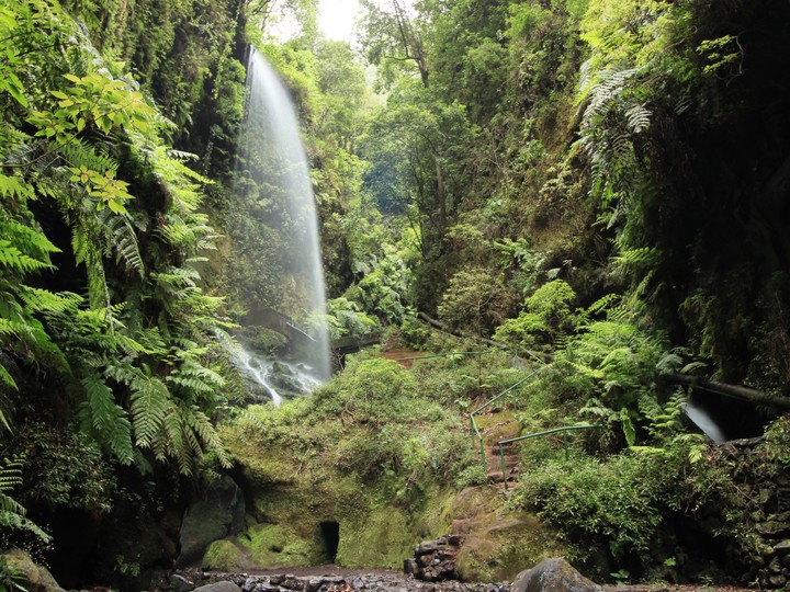La Palma, Las los Tilos