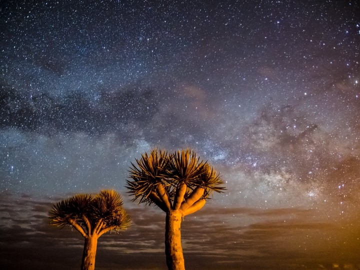 La Palma Starlight