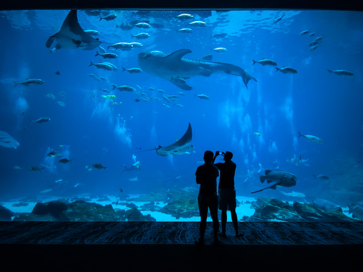 Acuario de Sevilla
