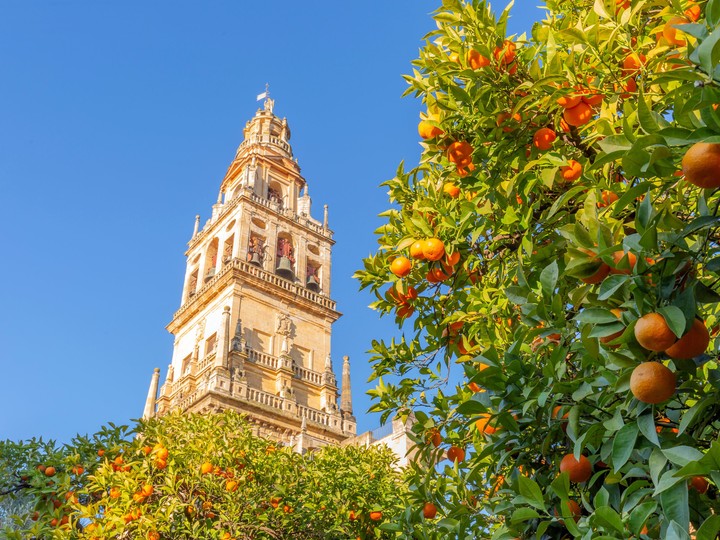 La Giralda Sewilla