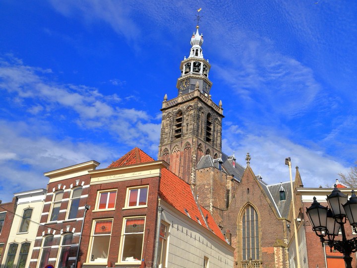 gouda