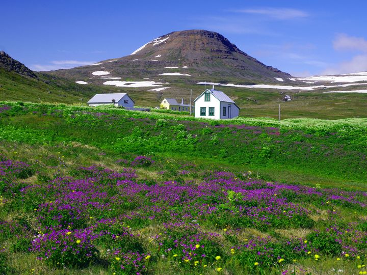 Hornstrandir, Islandia