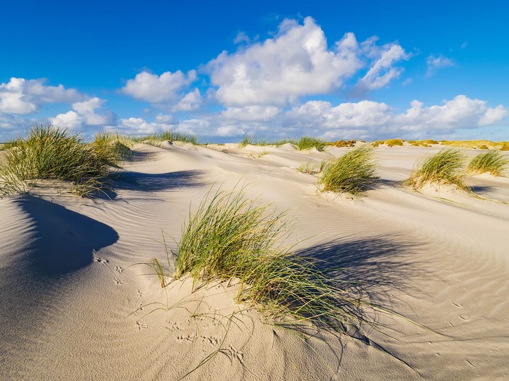 Wyspa Amrum