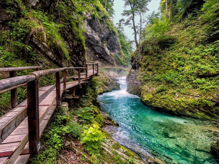 Bled