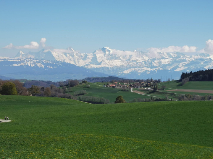 Gurten Berno