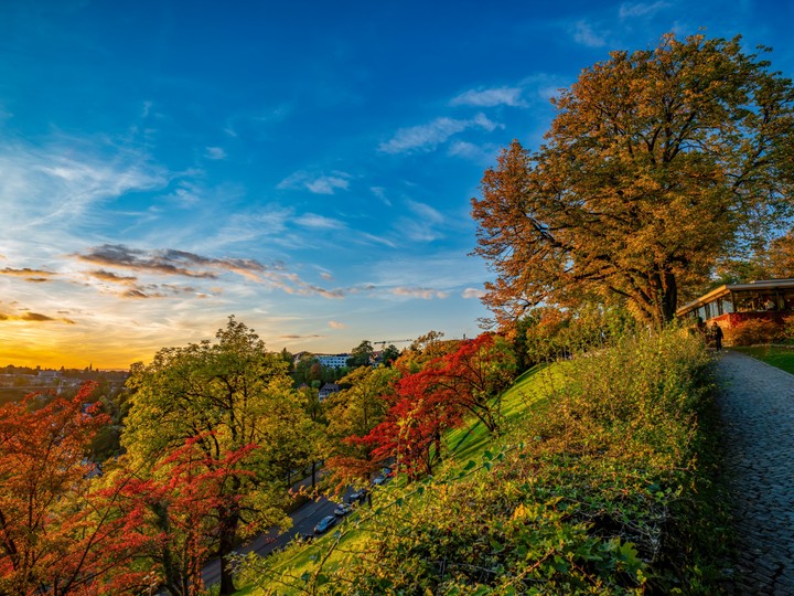 Rosengarten Bern