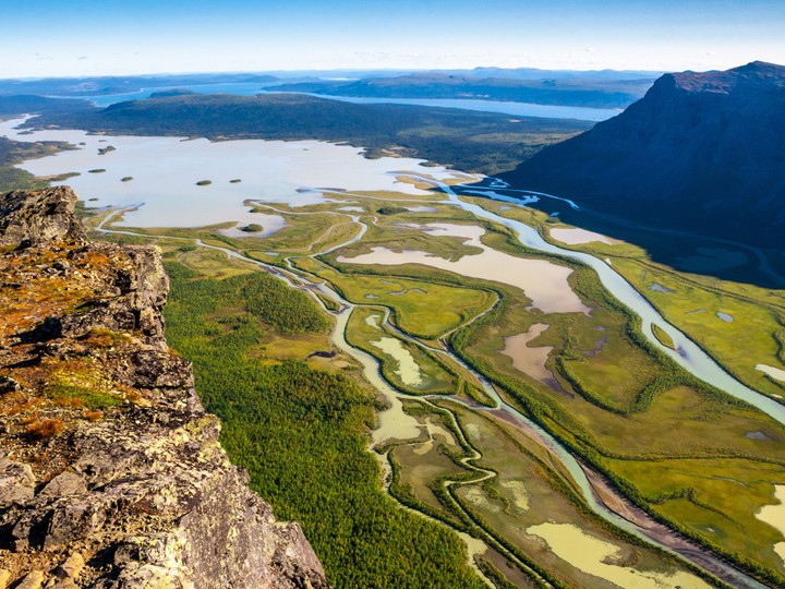 Sarek
