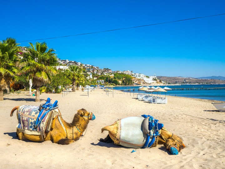 Bodrum