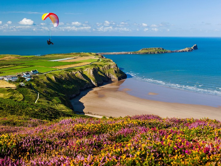 gower